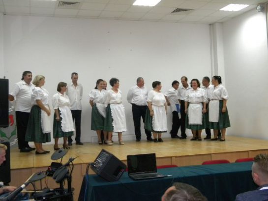 Az egykori néptáncegyüttes tagjai találkoztak Aradon