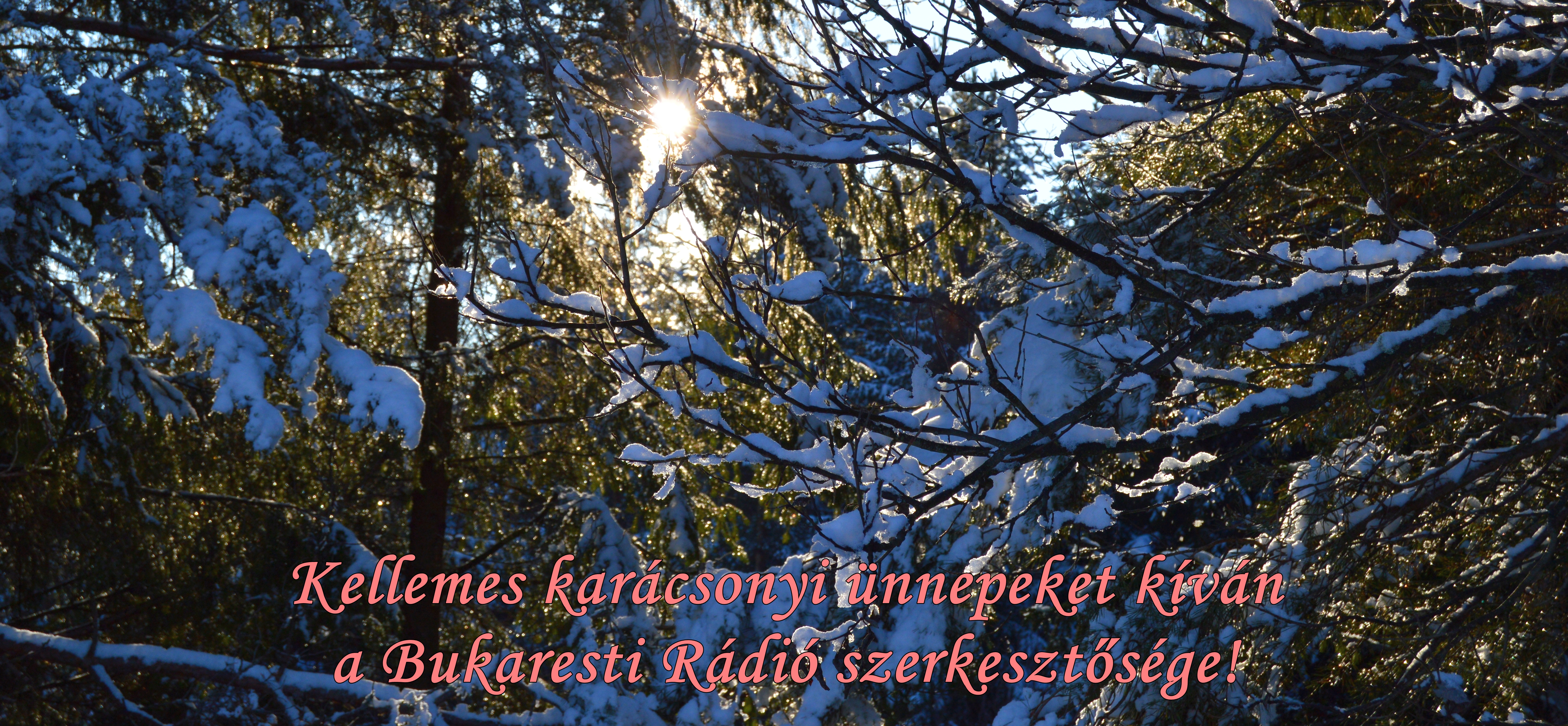 Kellemes karácsonyi ünnepeket és boldog új évet!