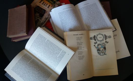 Idegen utazók Erdély és Máramaros sóbányáiban