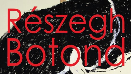 Szerdáig látogatható Részegh Botond kiállítása Mogoșoaián