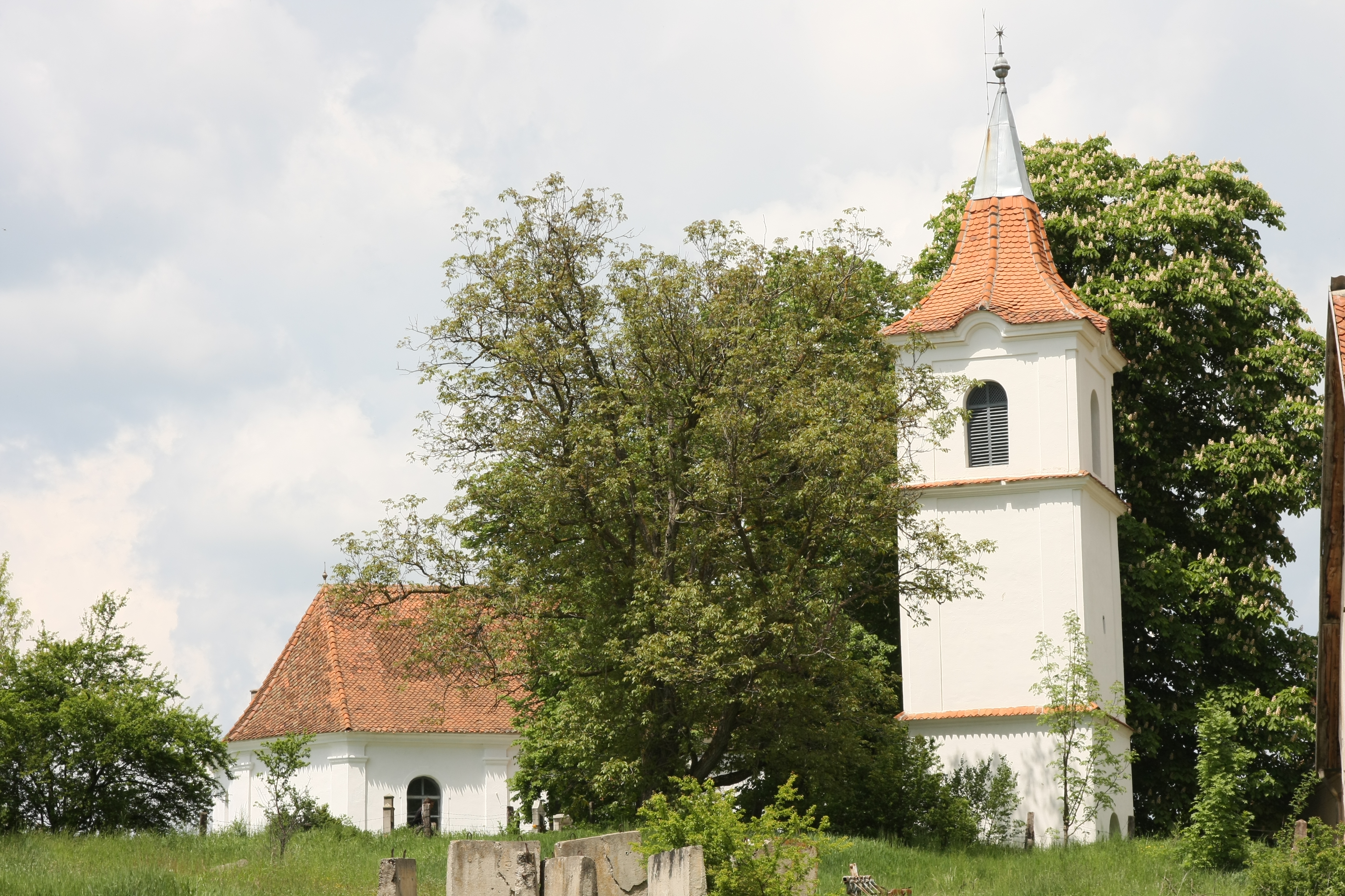 Áldott húsvéti ünnepeket!