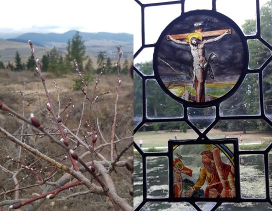 Ma van hamvazószerda