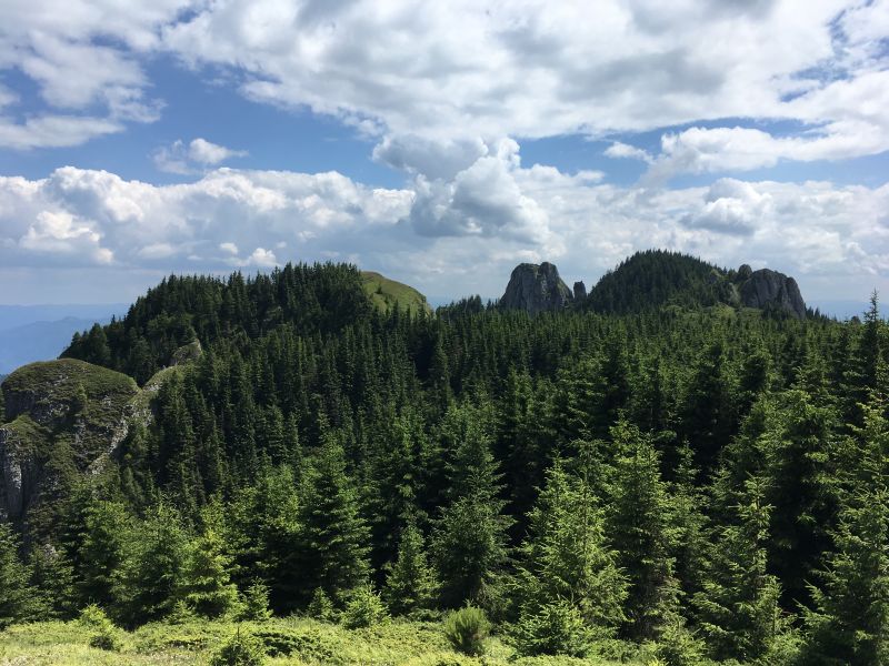 Visszaperelték az államtól erdővagyonuk egy részét Kemény János báró örökösei