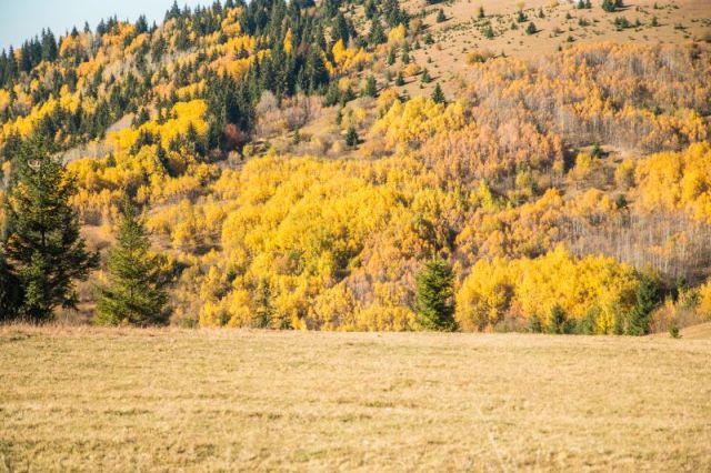 Rekordszinten az arany ára