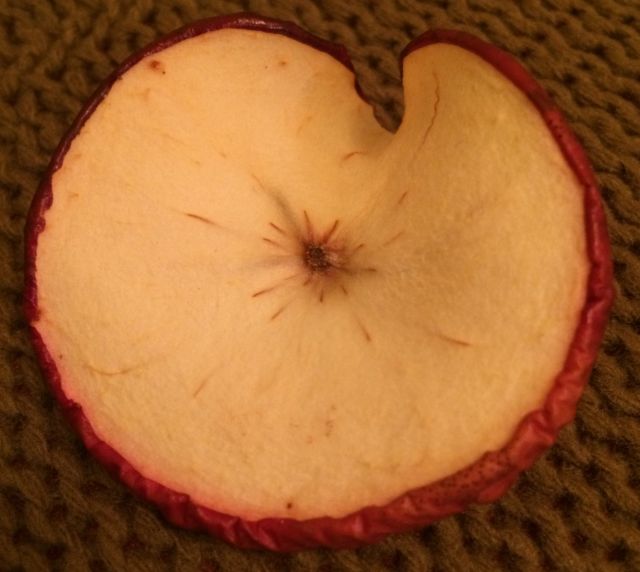 Tíz százalékkal kevesebb alma termett idén