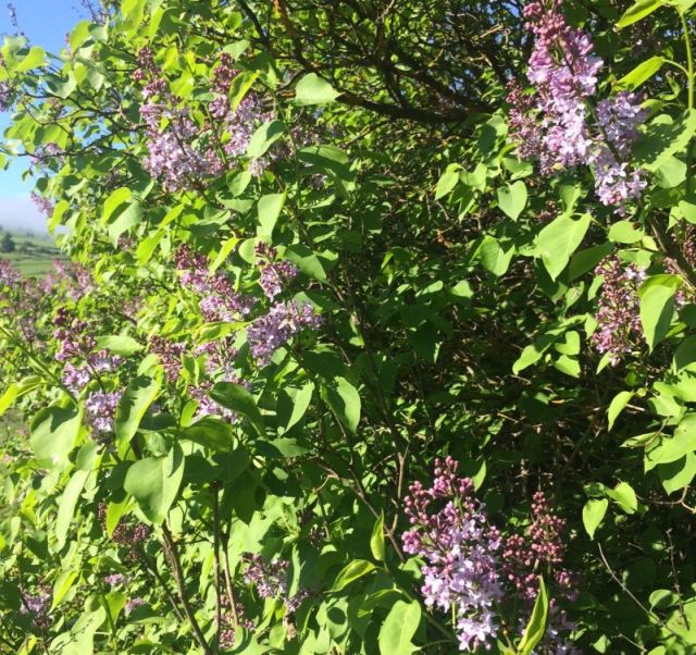 Jó szó embert próbáló időkben (16.)