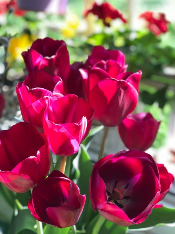 Dél-Afrika a legveszélyesebb a nők számára