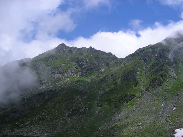 Figyeljünk a viperákra