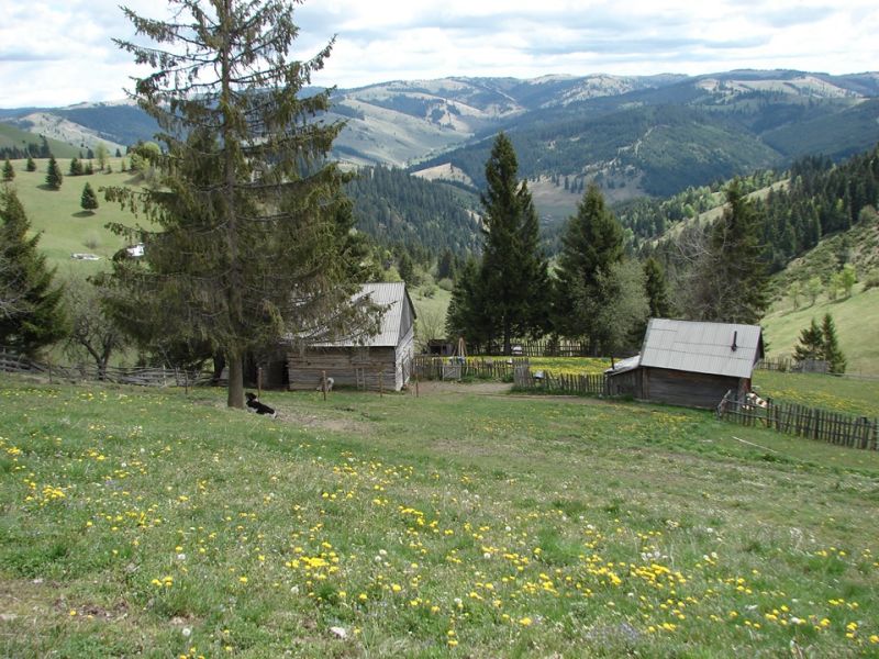 Összesen 11.611 személy él elektromos áram nélküli lakásban, 40 százalékuk kiskorú