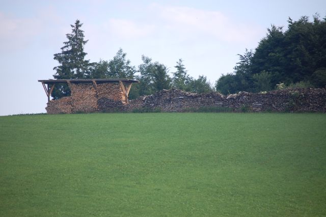 Románia farönköt importál, nem exportál