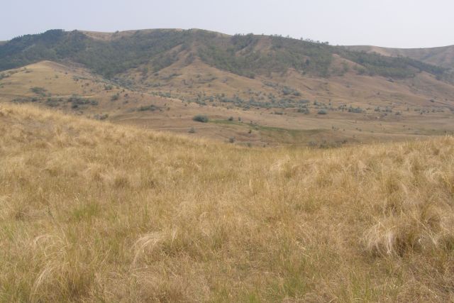 Naponta szinte 30 ezer hektárral nő az aszály sújtotta termőföldek területe Romániában.