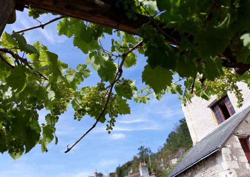 A szőlőtermelőkkel tárgyalt a kormányfő