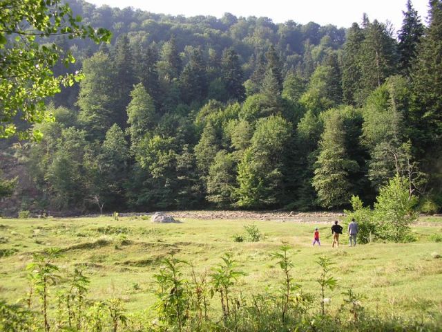 Három hétig igényelhető még támogatás az erdőkre