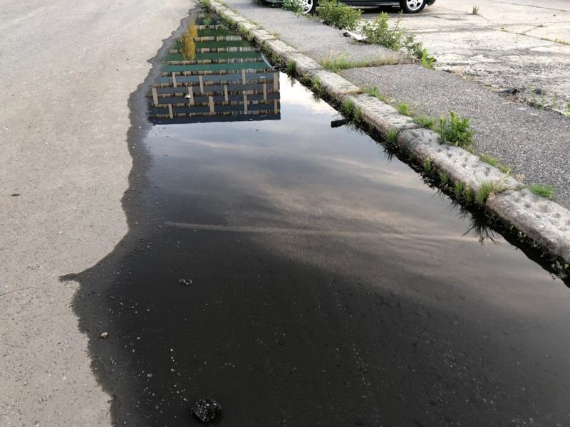 Kerüljük a szúnyogokat