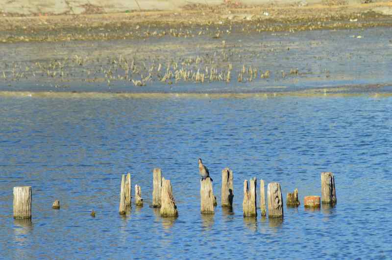 Enyhítettek a horgászati korlátozásokon