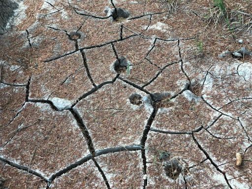 Nincs víz öntözésre