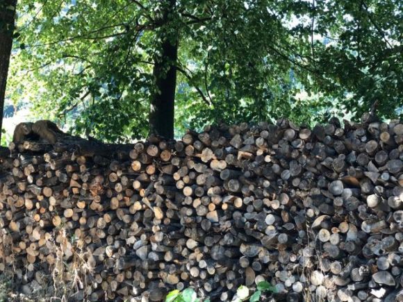 Nem a tűzifa, a szállítás a drága