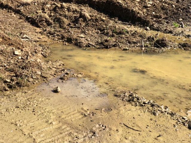 Szükségállapotot rendeltek el Csádban