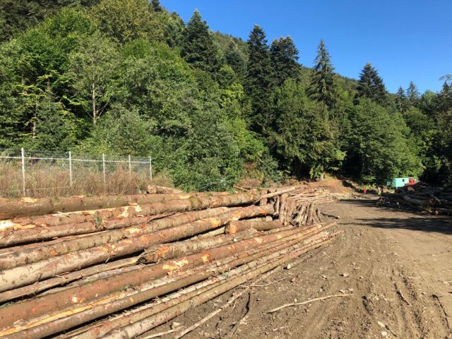 A nyersanyag árának robbanásszerű növekedése miatt szenved a bútoripar