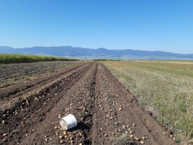 Ma jár le a kérelmek benyújtási határideje az APIA-nál