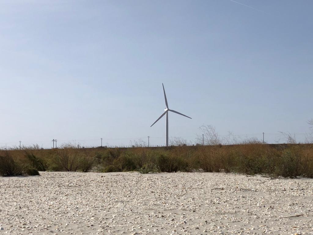 Vizsgálatot indított az EB