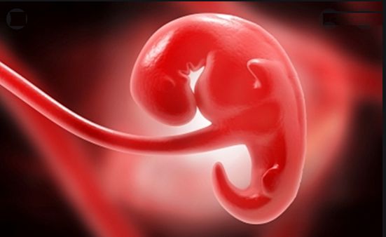 Texasban betiltották az abortuszt a terhesség 6. hetét követően