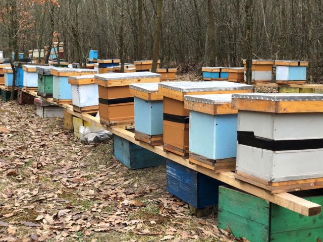 Új élelmiszer-szabályozás