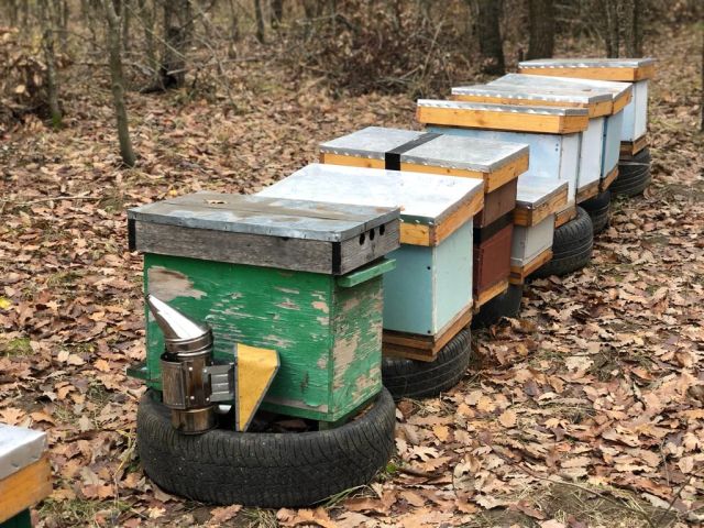 Az aszály miatt csökken a méztermés