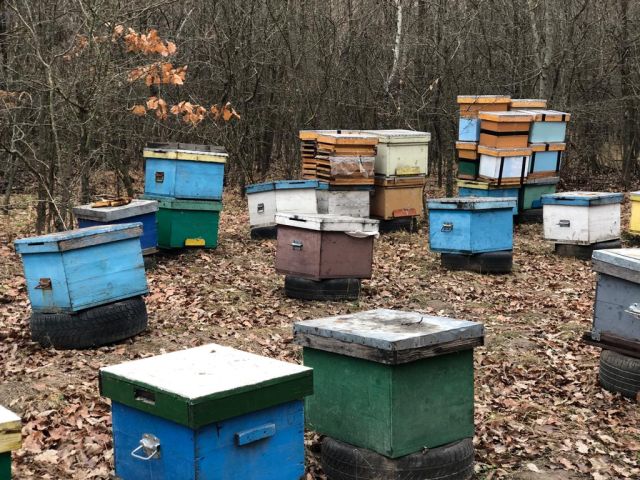 Az idei termésveszteség meghaladja az 50 százalékot is