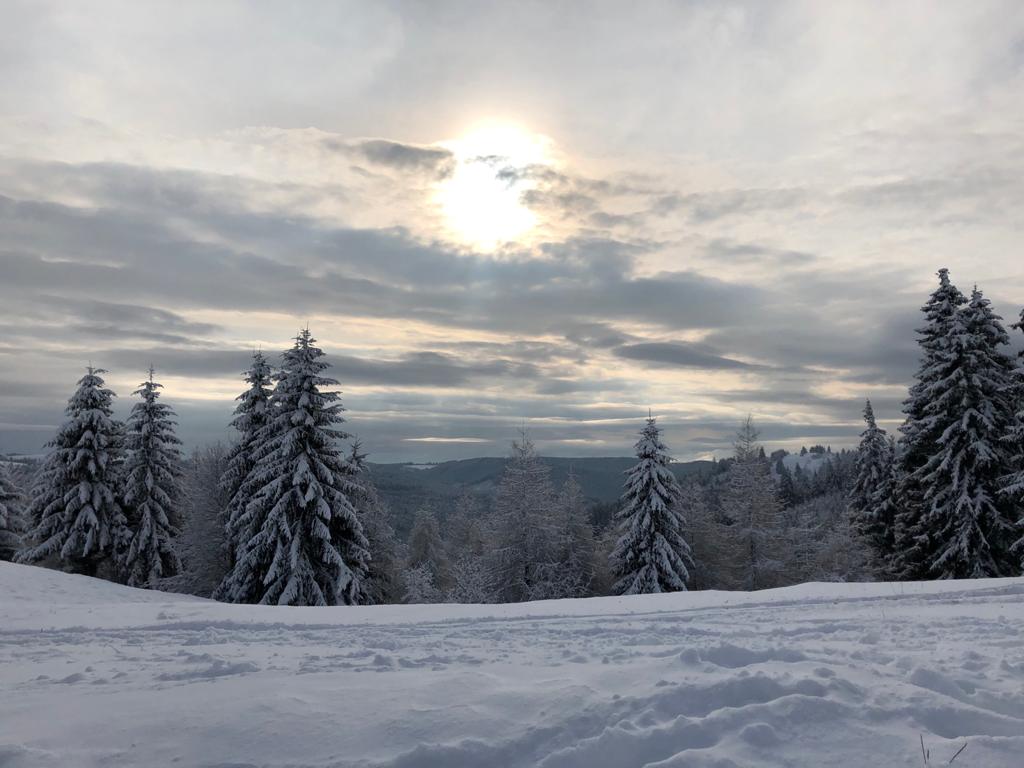 Püspöki újévi pásztorlevelek