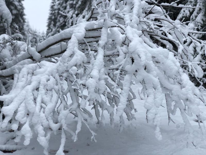Ötös fokozatúra emelték a lavinaveszélyt a Fogarasi-havasokban