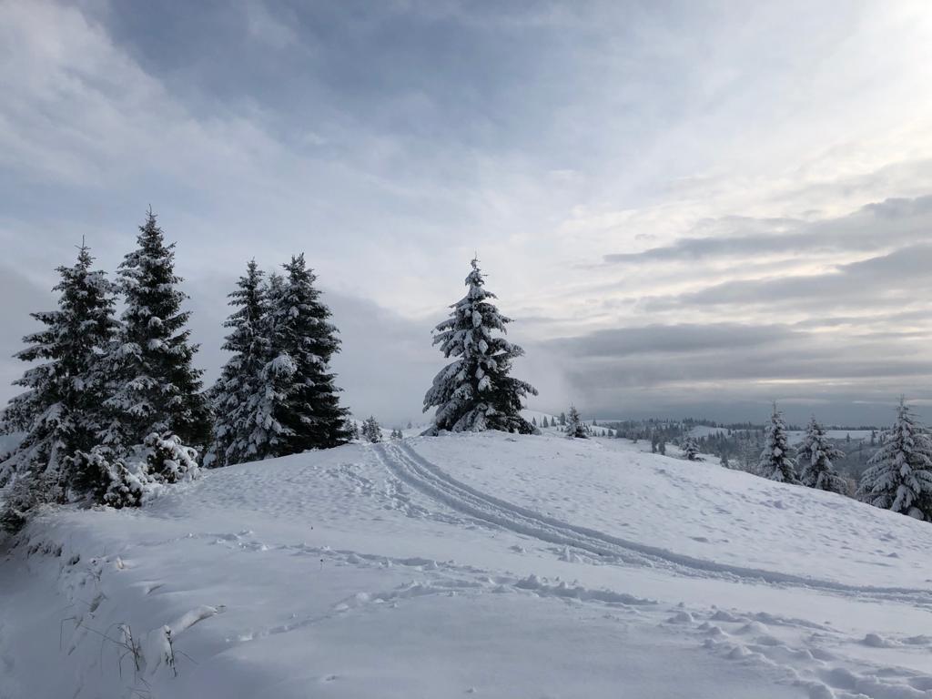 Szlovéniában kifejlesztették a világ első összecsukható sílécét