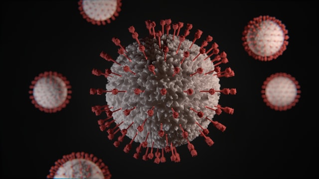 Az oltások a SARS-CoV2 vírus új variánsai ellen is védettséget biztosítanak