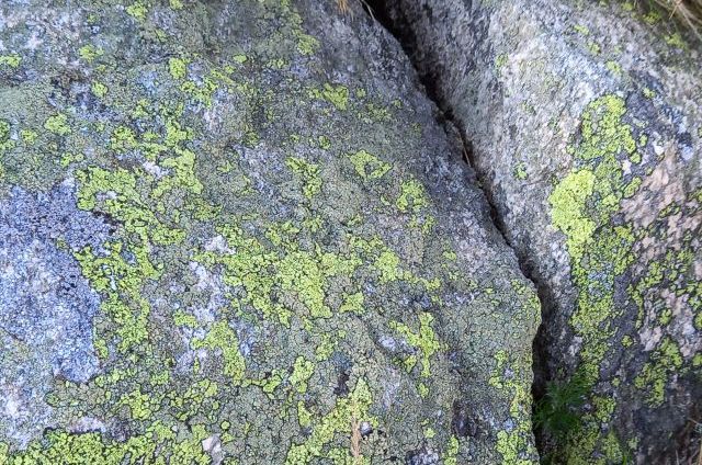 Tovább nőtt a földrengés áldozatainak száma, ötven embert még mindig keresnek Japánban