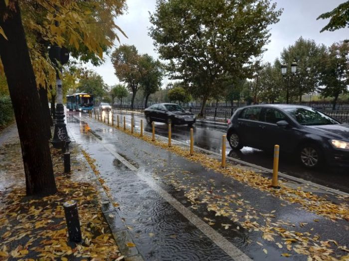 Felmérés a gépkocsivezetők körében