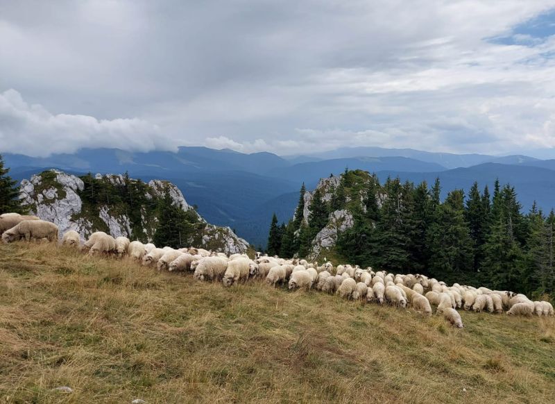 Milyen anyagok írják a jövőt?