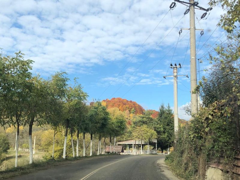 Rövidesen indul a közvilágítás energiahatékonyságának növelését célzó program