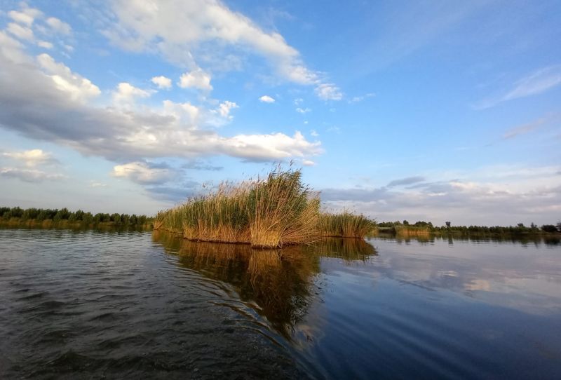 Német turista tűnt el a Duna-deltában