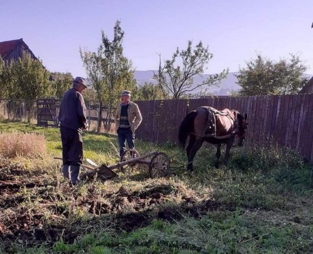 A hivatalosnál több a biogazdaság Romániában