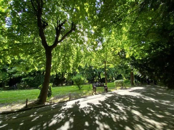 Marosvásárhely az egyik legzöldebb nagyváros