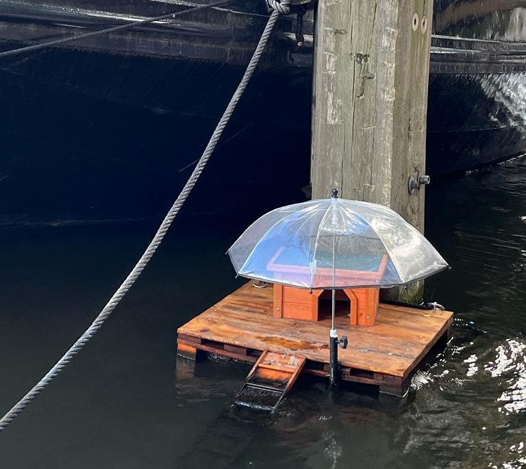 Hollandiában 4000 éves szentély maradványait tárták fel