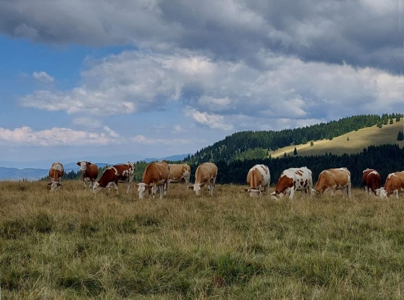 Megszűnt a támogatási összeghatár