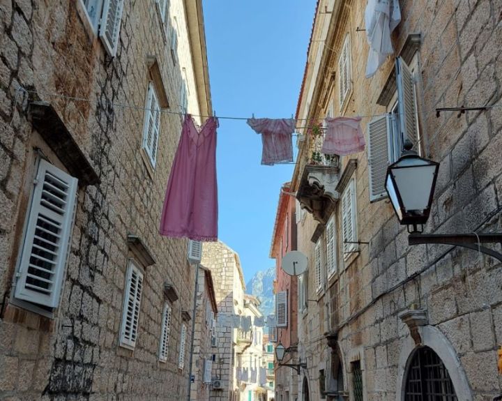 Kisebbségi önkormányzati választások Horvátországban