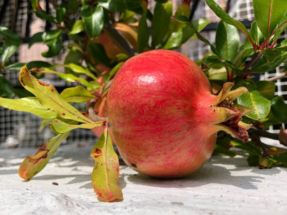 Az örmény kormány tárgyalásokat kezdhet az EU-val