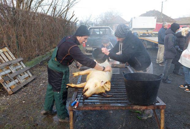 Soknemzetiségű disznóvágás Pécskán