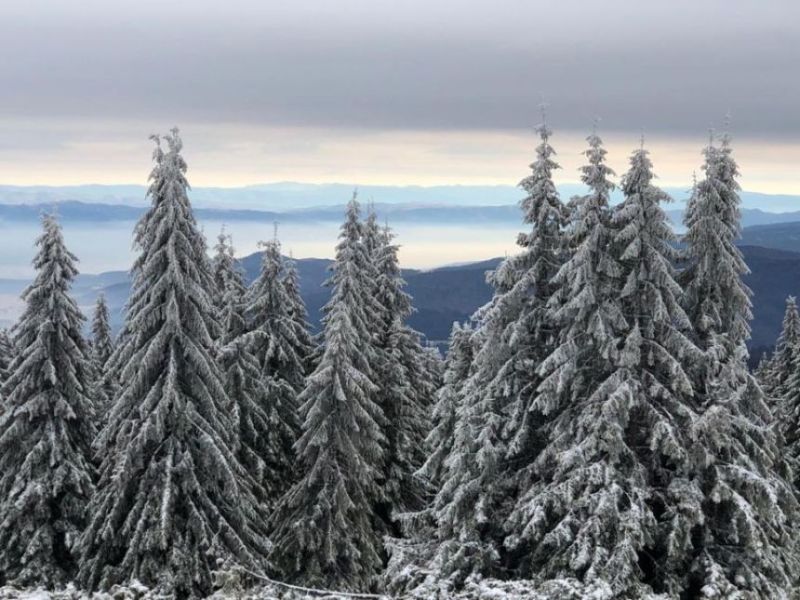 Az önkormányzatok is kapnak támogatást idéntől