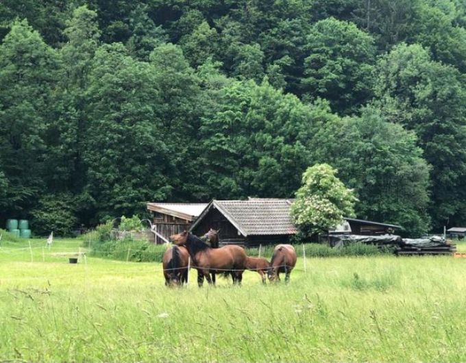 Feltételekhez kötik a kártérítést