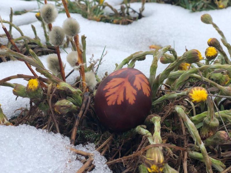 A húsvét állandó közös időpontjának meghatározására szólít fel Ferenc pápa