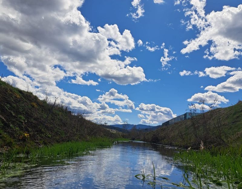 Kőolaj szennyezés a Szeben folyón
