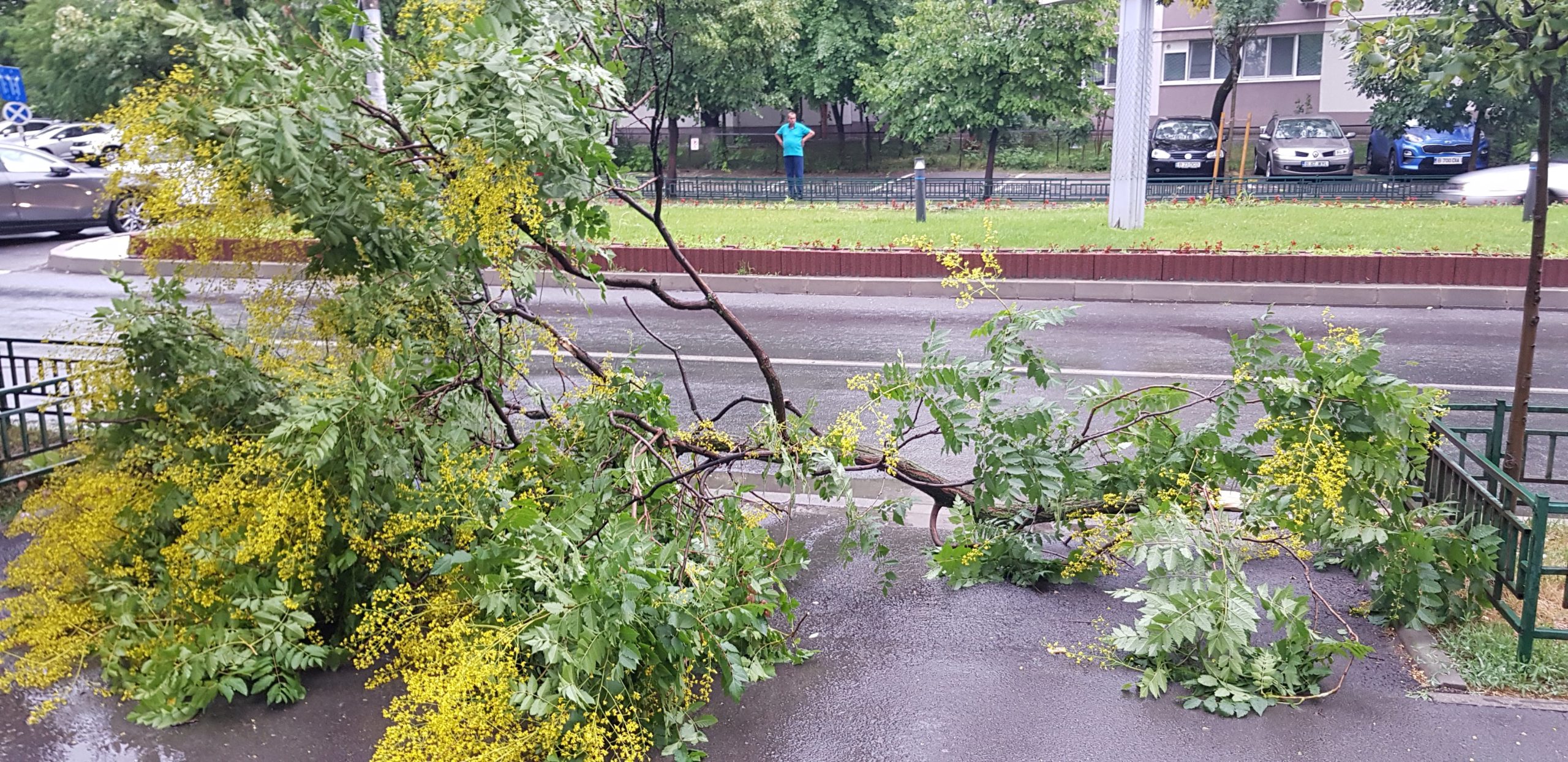 Csökken a jégtakaró, a felhőszakadás nem segít a szárazságon